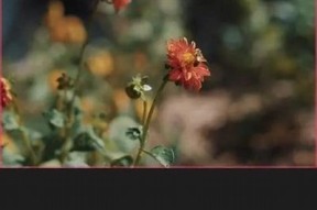 十大抖音类似软件推荐，帮你打造精彩短视频