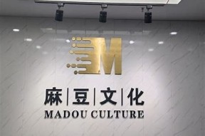 麻豆文化传媒在线观看：高质量视频分享平台推荐
