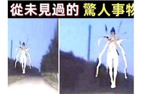 探秘抖音新奇记录：你不知道的世界之最！