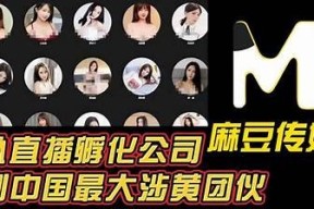 麻豆文化传媒欧妮：探索新兴娱乐行业的魅力与潜力
