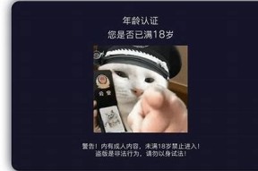 揭秘抖阴视频中的雅麻蝶：魅力与技巧全解析