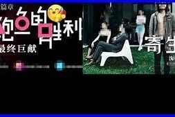 麻豆传媒30部精选打包下载，畅享精彩影视盛宴