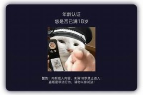 抖阴记录世界纪录：探索线上体验IOS的极限乐趣