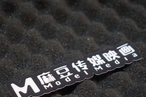 麻豆视传媒客服热线及服务指南一览