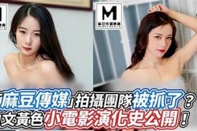 麻豆传媒最新电影mdx0004免费在线观看，精彩剧情不容错过