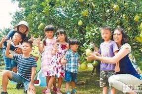 麻豆印象传媒：创新营销与品牌塑造的行业先锋