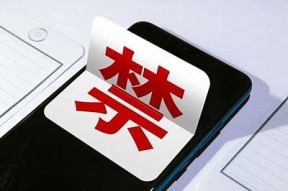 客户端下载|麻豆视频传媒官方APP，畅享高清影视乐趣！